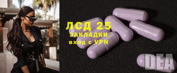 хмурый Бородино