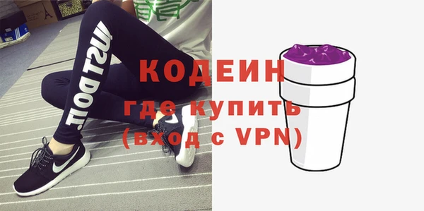 хмурый Бородино