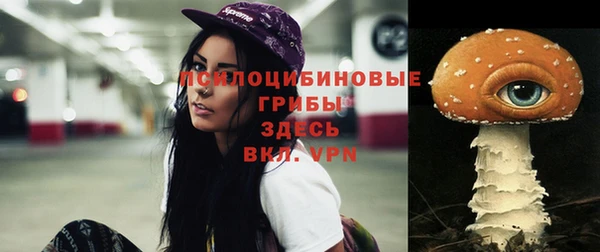 хмурый Бородино