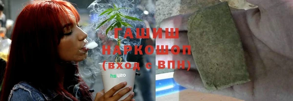 хмурый Бородино