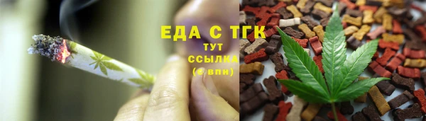 хмурый Бородино