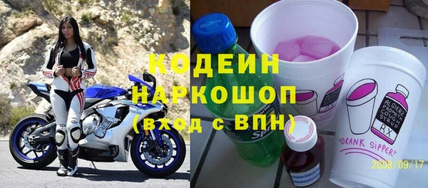 хмурый Бородино