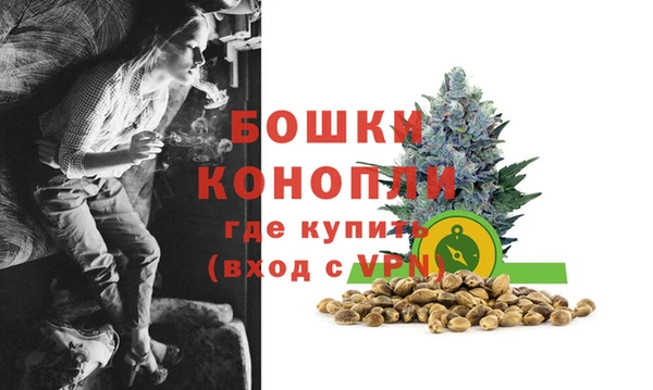 хмурый Бородино