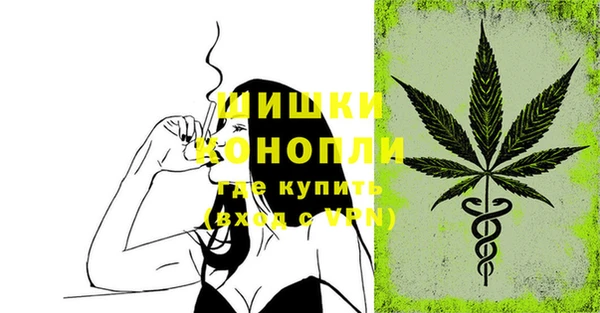 хмурый Бородино