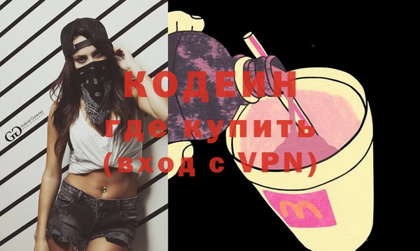 хмурый Бородино