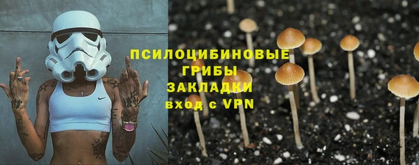 хмурый Бородино